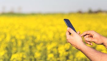 Final Pitch Day 2024: las 10 startups Agrifoodtech que están cambiando el juego   