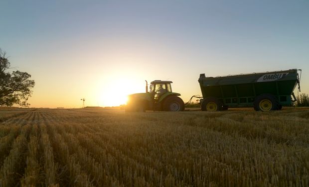 Día de la Agricultura: por qué se conmemora un sector fundamental y estratégico de la economía nacional