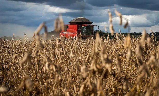 El exceso de lluvias pone en pausa la cosecha: qué puede pasar en los próximos días y cuándo las condiciones se vuelven más favorables