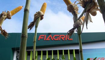 Fiagril esclarece informações e reforça atuação no agronegócio