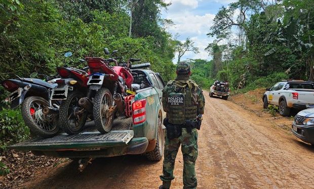 Crimes no agro: ações combatem roubo de cargas e invasões; fazendeiro leva multa por maus-tratos a gado