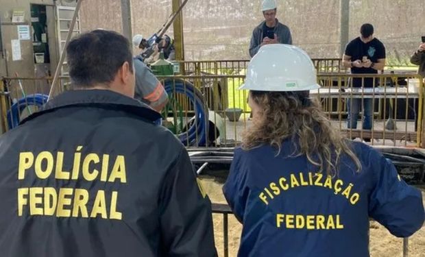 Apertou o cerco: Brasil apreende quase 6,9 mil toneladas de farelo adulterado