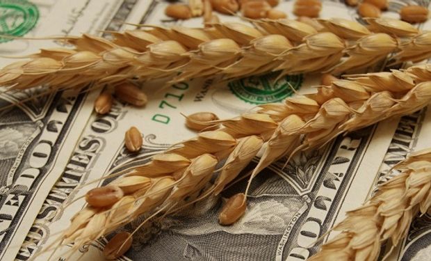 La industria molinera apuntó contra el fideicomiso del trigo y pidió la “inmediata eliminación”