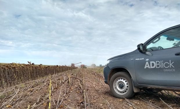 El fideicomiso de agro que levanta dos veces la deuda de Independiente, siembra 60.000 hectáreas y planea múltiples inversiones en el campo