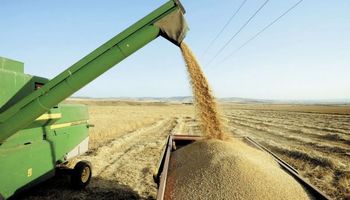 Conforman el Consejo de Fiscalización del Fideicomiso de trigo