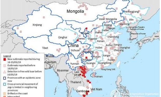 Focos de fiebre porcina en China y países limítrofes. Fuente: FAO.