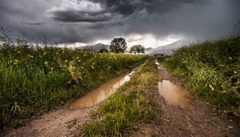 Frente fria avança pelo centro-sul do país e derruba temperaturas 