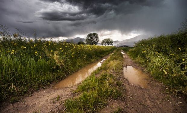 Frente fria avança pelo centro-sul do país e derruba temperaturas 