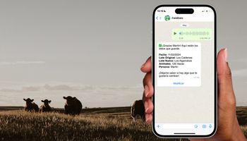 IA en ganadería: dos jóvenes vieron un problema en el campo y crearon una plataforma que ordena al establecimiento desde WhatsApp que ya usan más de 100 productores