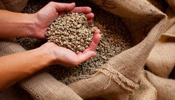 Vai faltar café em 2023?