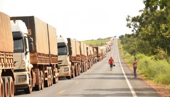 Fila de caminhões para levar safra brasileira de grãos daria quatro voltas ao mundo