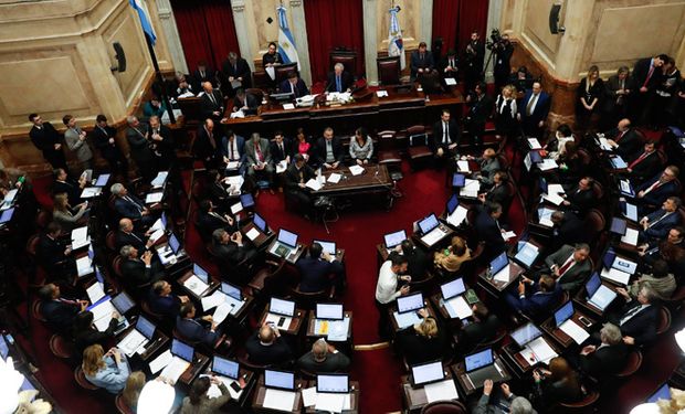 El Senado avanzó con dictámenes para el sector.