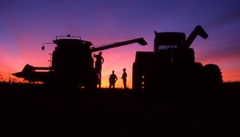 Soja en Estados Unidos: finalizó la cosecha con valores récord