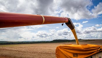 Una situación inédita en más de 40 años para el agro argentino y la sorpresa que se espera para el primer trimestre de 2025