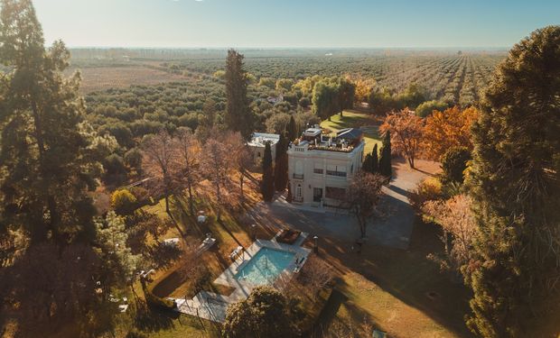 La bodega argentina que se consagró como la mejor del "nuevo mundo": “Durante más de un siglo estudiamos los suelos"