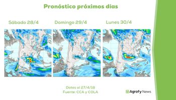 Las lluvias le dan un empujón al trigo