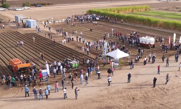 Durante as demonstrações em Fresno, na Califórnia, vários robôs agrícolas puderam ser vistos em ação