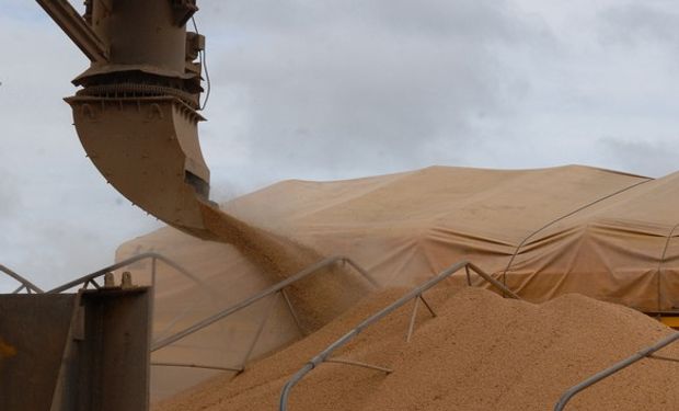 Firmas cerealeras dijeron "no positivo"