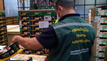 Auditores fiscais agropecuários avaliam greve em janeiro