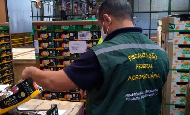 Sindicato disse que continuará buscando dialogar com o governo federal até a possível mobilização. (Foto - Divulgação)