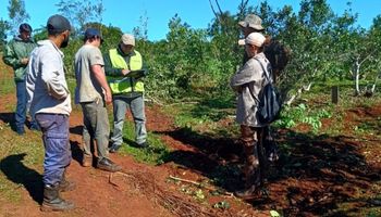 Aumento para los trabajadores rurales: la prestación por desempleo se actualizó un 5 %