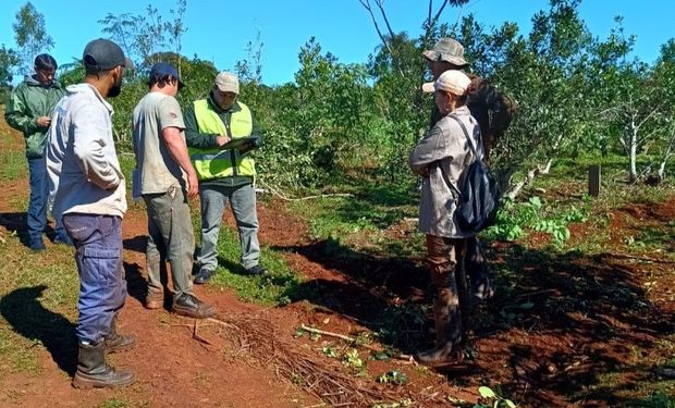 Aumento para los trabajadores rurales: la prestación por desempleo se actualizó un 5 %