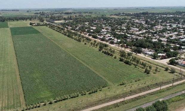Campos periurbanos: ¿Sinónimo de conflicto?