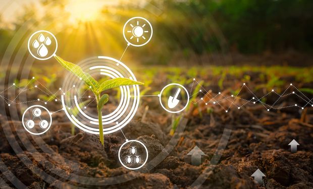 Bayer: solução de IA pode manter Brasil um passo à frente na agricultura regenerativa