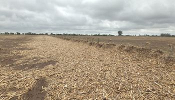 Cambia el tiempo y llegan las tormentas: qué se espera de las lluvias para el campo