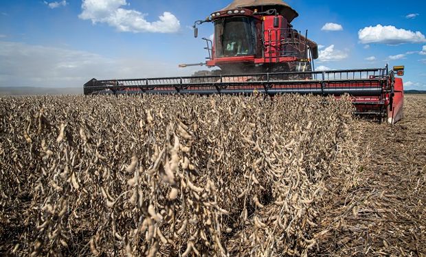 El top five de la maquinaria agrícola: qué marca lideró cada segmento