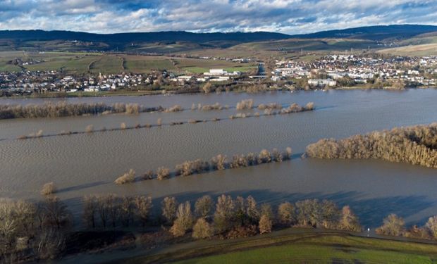 Fuertes subas para el trigo: al clima adverso en Estados Unidos se suman las inundaciones en Alemania