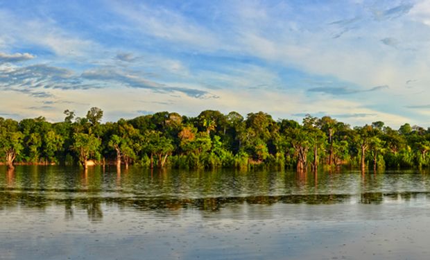 Código Florestal chega a 10 anos com alta no desmatamento