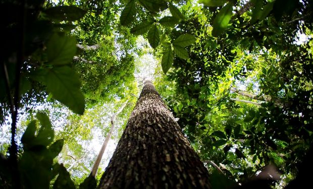 Região é responsável por vários processos climáticos que ajudam a manter o equilíbrio do clima  e manutenção dos estoques de água doce