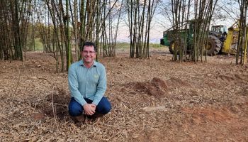 Líder do biocombustível dedica 15 mil hectares a nova solução de biomassa