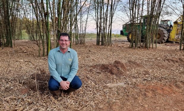 Líder do biocombustível dedica 15 mil hectares a nova solução de biomassa