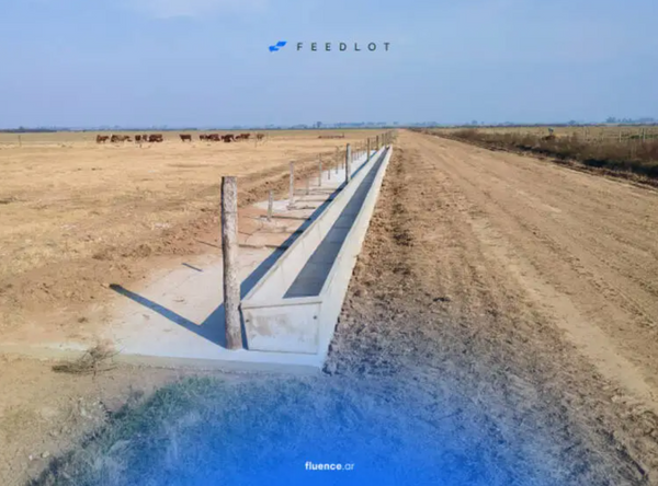 feedlot llave en mano de fluence