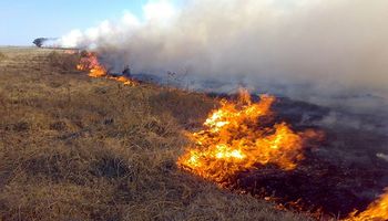 La Pampa: INTA indicó las zonas más propensas a incendios para la próxima campaña