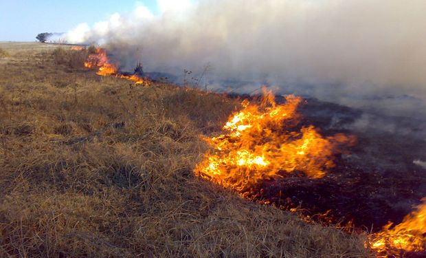 Santa Fe: productores del norte denuncian incendios intencionales y piden respuestas a la provincia