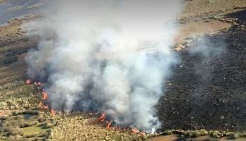 Piden que la Justicia sancione a los titulares de las islas por la quema de pastizales