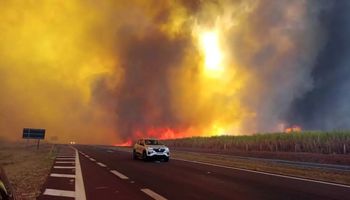São Paulo arde em chamas e governo declara alerta máximo em 34 cidades