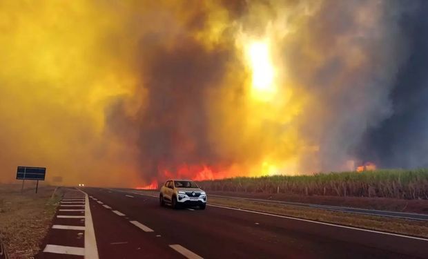 São Paulo arde em chamas e governo declara alerta máximo em 34 cidades