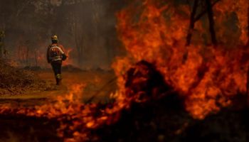 Megaincêndios deixam rastro de destruição e mortes