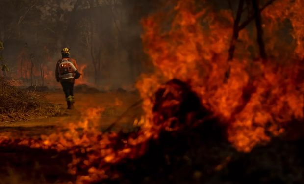 Megaincêndios deixam rastro de destruição e mortes