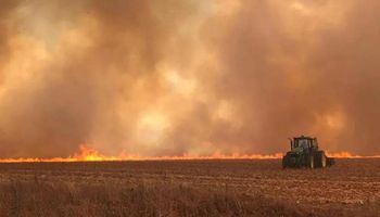 Faesp cobra governador de SP e solicita ações emergenciais para produtores atingidos pelos incêndios