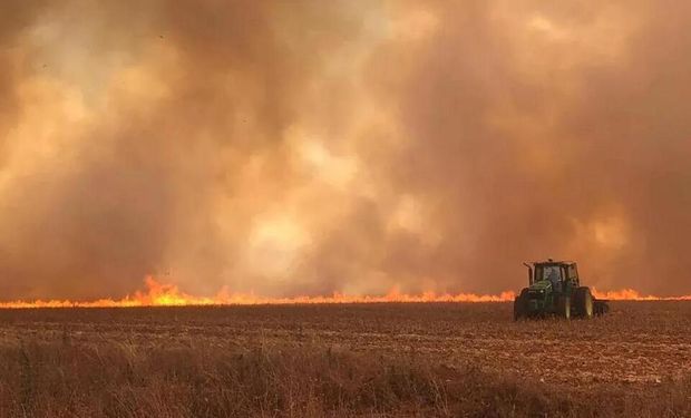 Faesp cobra governador de SP e solicita ações emergenciais para produtores atingidos pelos incêndios