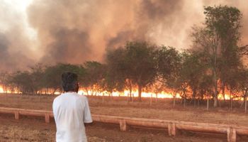 Dia do fogo: PF investiga ação orquestrada para incendiar interior de SP