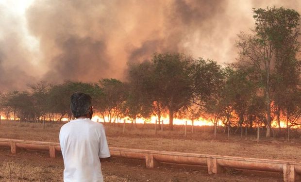 Dia do fogo: PF investiga ação orquestrada para incendiar interior de SP