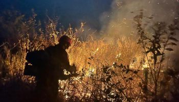 Incêndios no Brasil: FPA fará ação coordenada por penas mais severas e cobra plano de ação