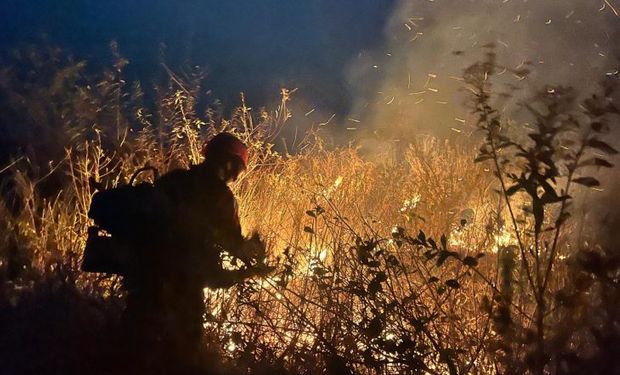 Incêndios no Brasil: FPA fará ação coordenada por penas mais severas e cobra plano de ação