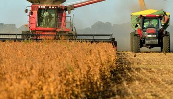 El agro argentino generó el 92 % de las divisas netas en los últimos cinco años